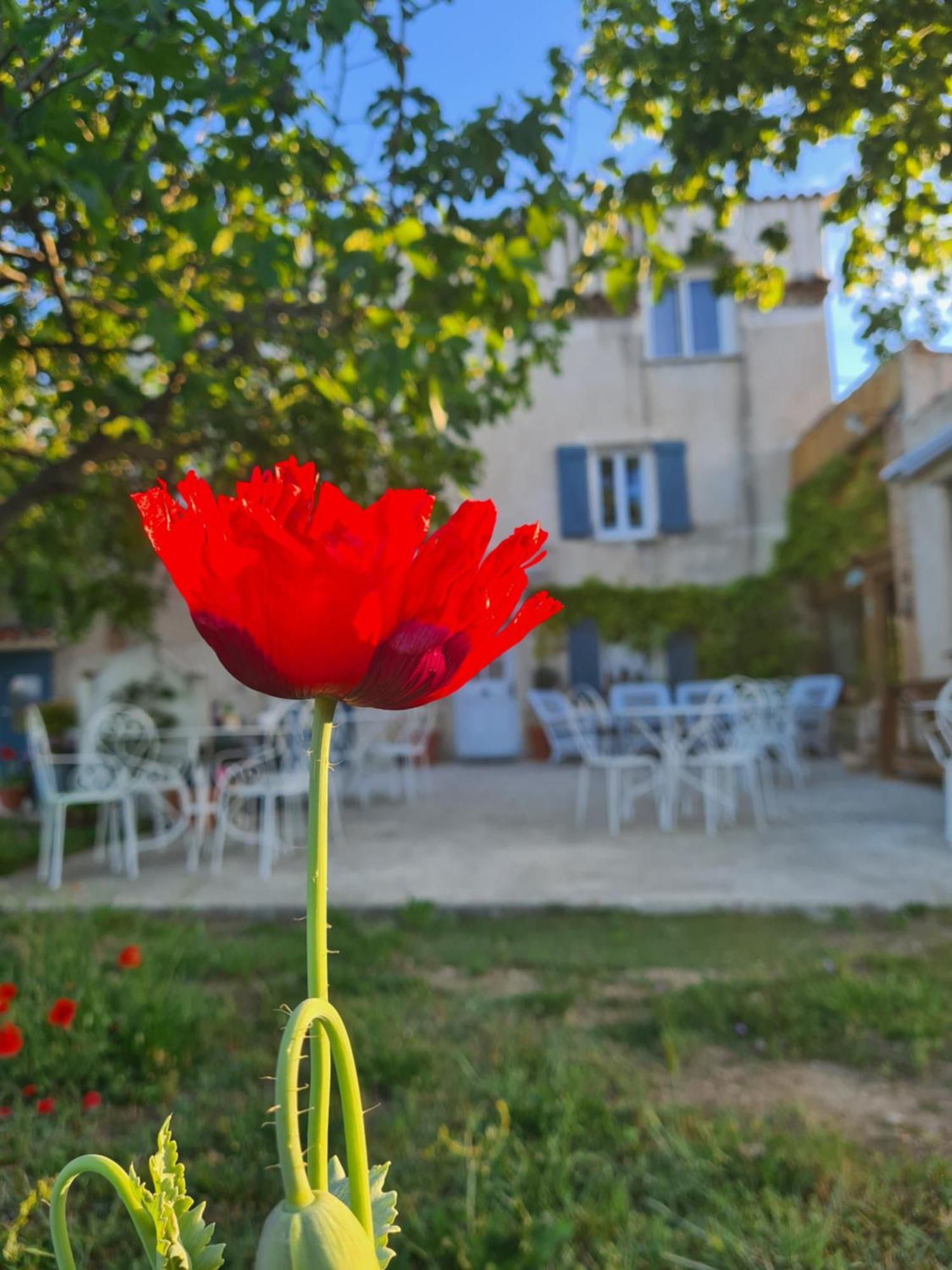 La Ferme Constantin Villa Fayence Room photo