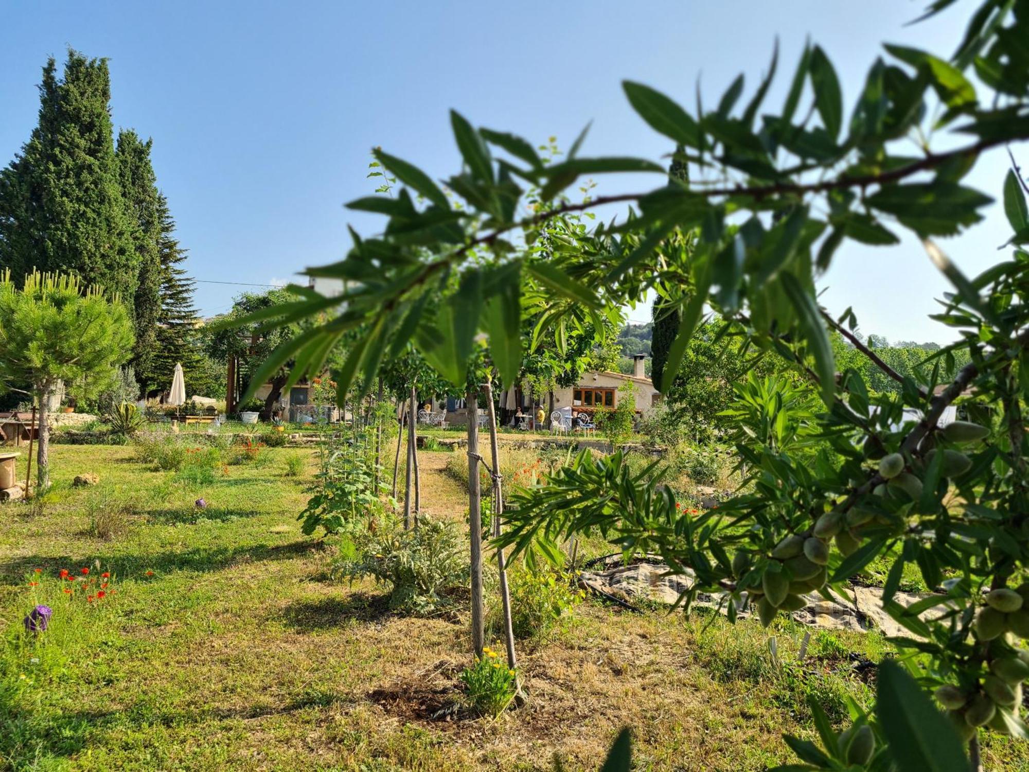 La Ferme Constantin Villa Fayence Exterior photo